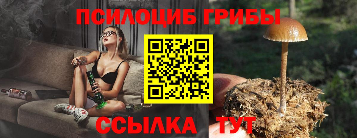 Галлюциногенные грибы MAGIC MUSHROOMS  Псилоцибиновые грибы Psilocybe  Осинники  Вход с VPN 